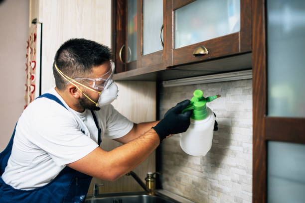 Best Wasp Removal Services  in Tea, SD