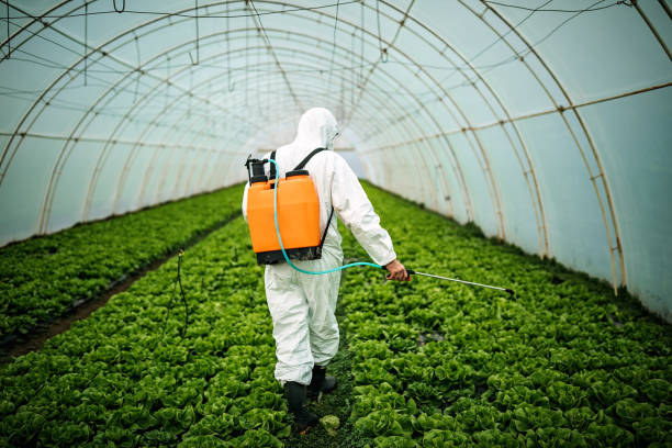 Best Pest Removal Services  in Tea, SD