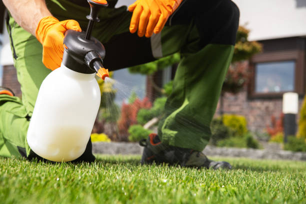 Professional Pest Control in Tea, SD
