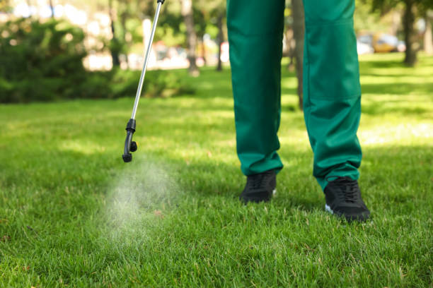 Best Exterminator Services  in Tea, SD