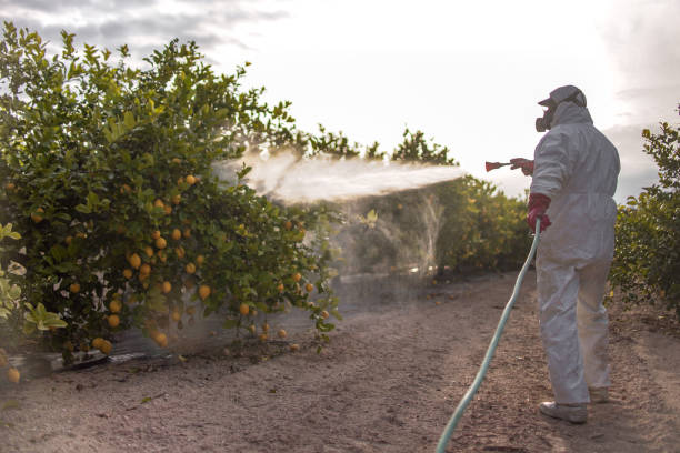 Best Wildlife Control Services  in Tea, SD