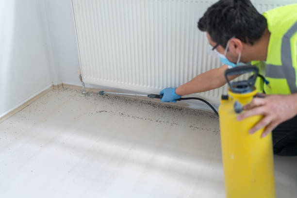 Best Emergency Pest Control  in Tea, SD