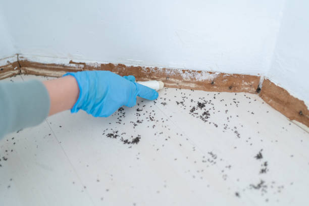 Pest Control for Restaurants in Tea, SD