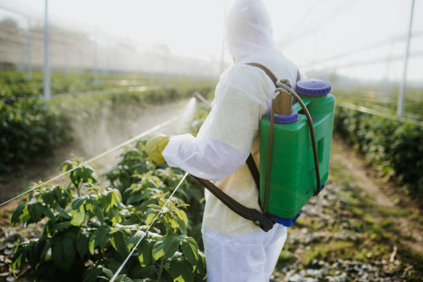 Best Residential Pest Control  in Tea, SD